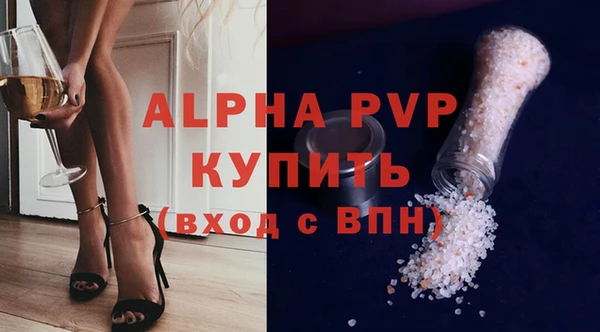 ECSTASY Белокуриха