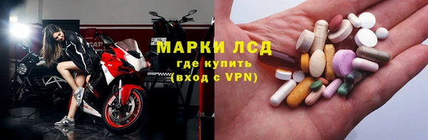 ECSTASY Белокуриха