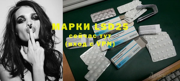 ECSTASY Белокуриха