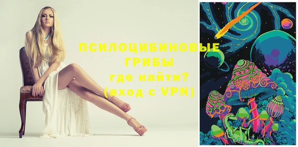 ECSTASY Белокуриха